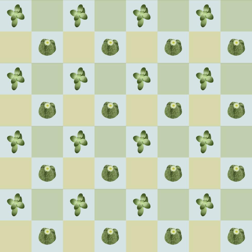 Succulents lithops and astrophytum, plant geometric seamless pattern. Vector illustration.