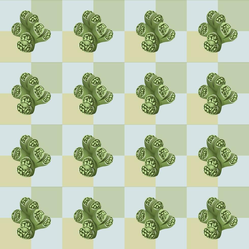 Succulent lithops plant geometric seamless pattern. Vector illustration.