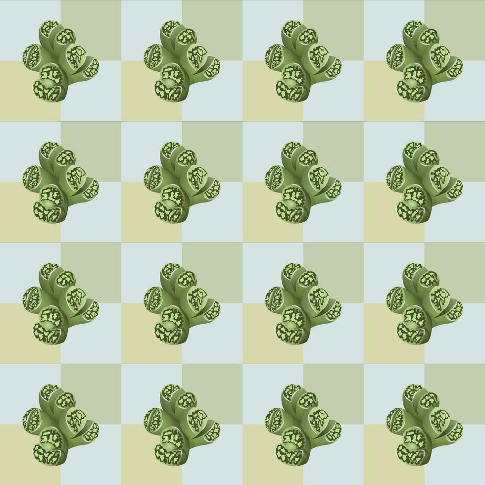 Succulent lithops plant geometric seamless pattern. Vector illustration.