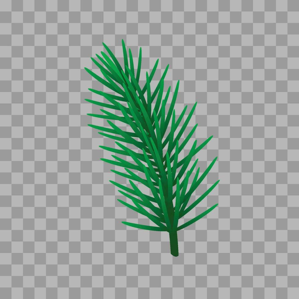 Vector pine tree branch fir twigs with green needles