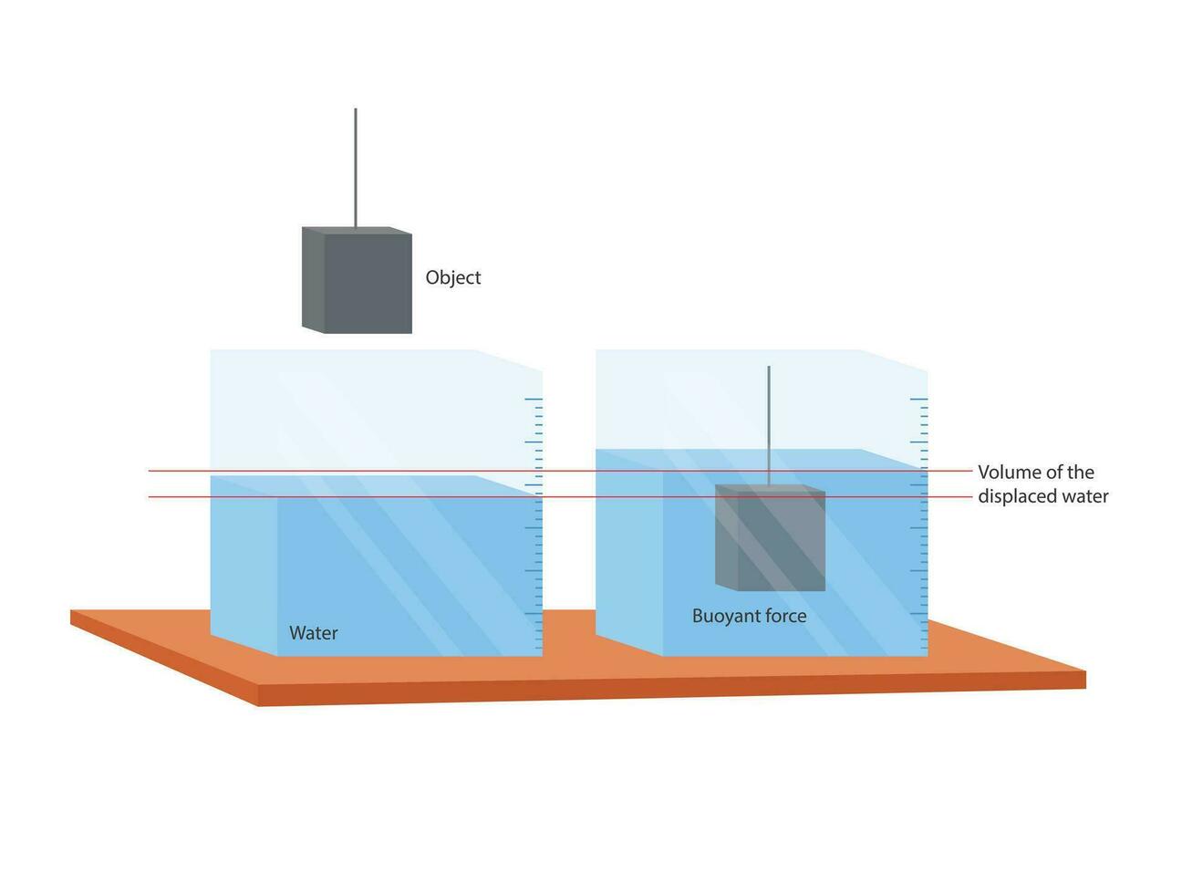 Archimedes principle. The buoyant force illustration vector