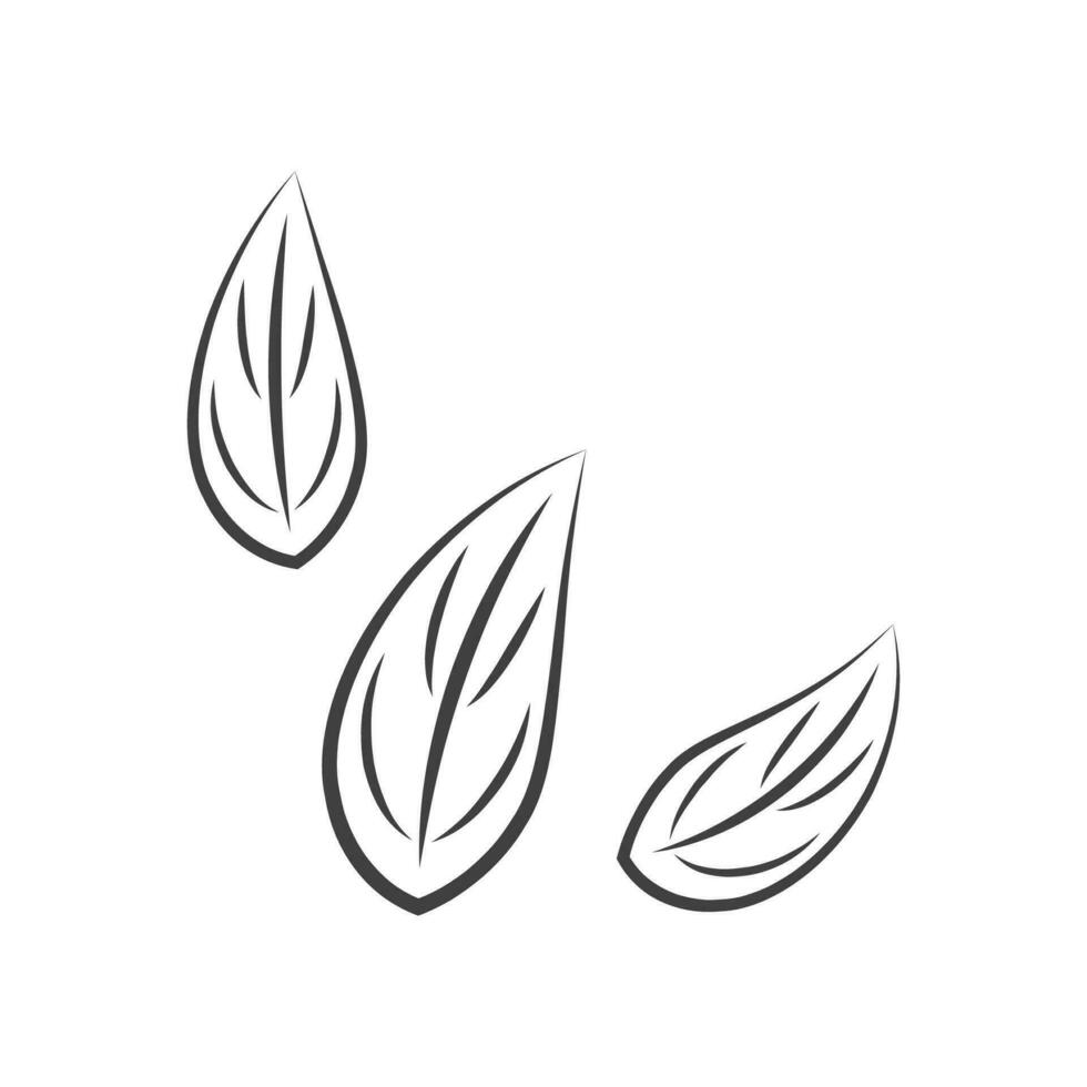 Vector hand drawn leaf doodle floral garden design element ecology concept