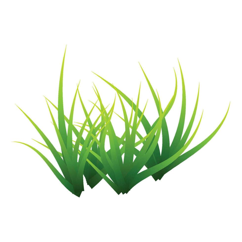 Vector realistic green grass cluster perennial plant