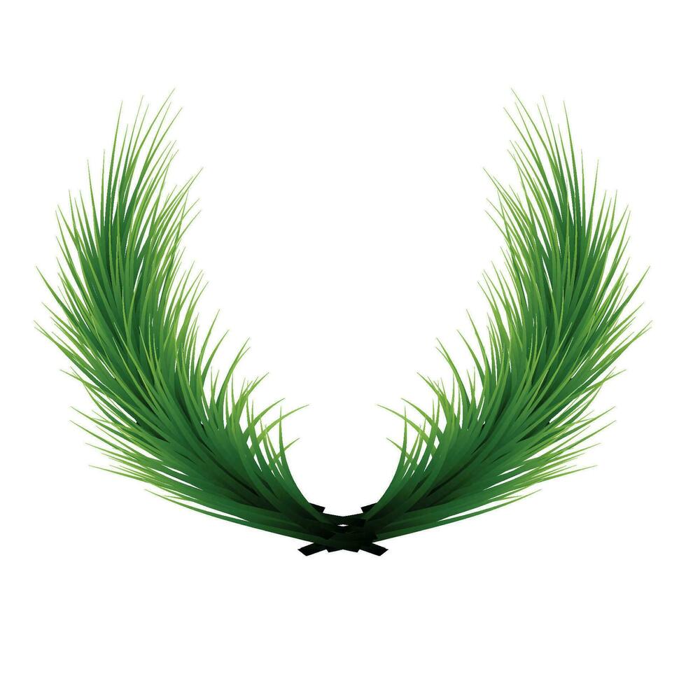 Vector pine tree branch christmas garland green fir twig