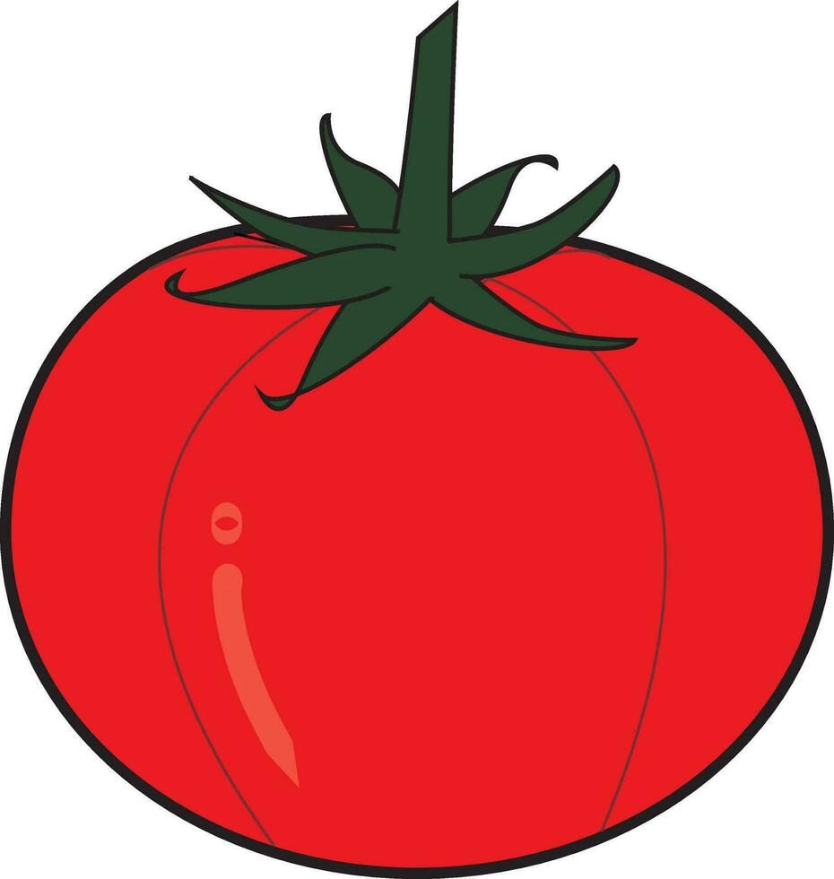 Striped tomato vector