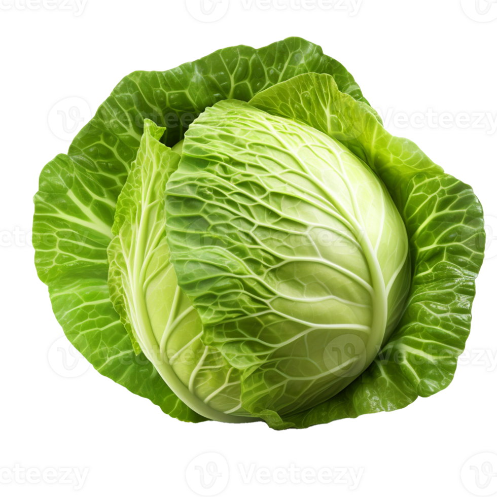 AI generated High quality photo of Fresh Green Cabbage vegetable