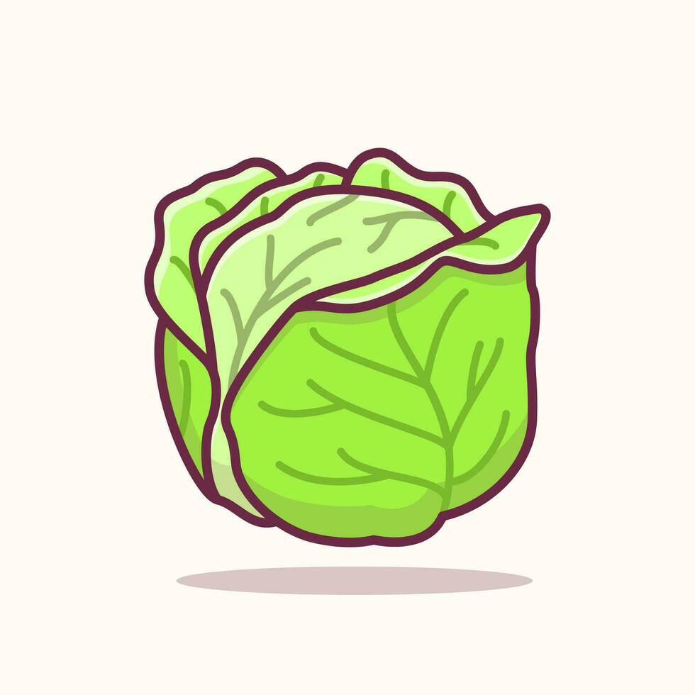 Cabbage Vegetable Flat Illustration, Vegetable healthy food vector illustration
