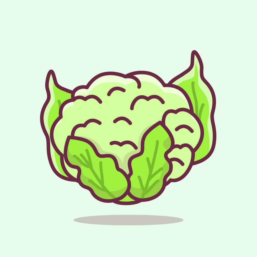 Cauliflower Vegetable Flat Illustration, Vegetable healthy food vector illustration