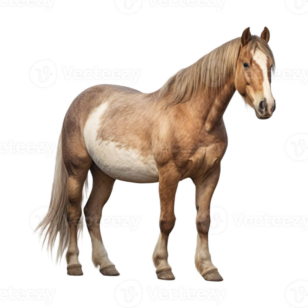 ai generado hermosa caballo en transparente antecedentes - ai generado png