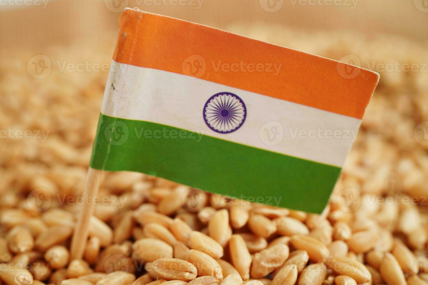 India flag on grain wheat, trade export and economy concept. photo