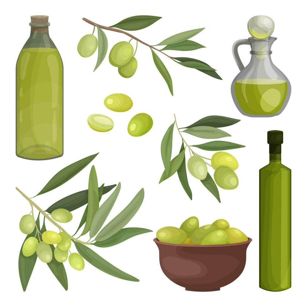 olive oil Set of bottles and a jug, a plate of pickled olives, branches and fruits. Packaging or advertising design for olive business and oil vector