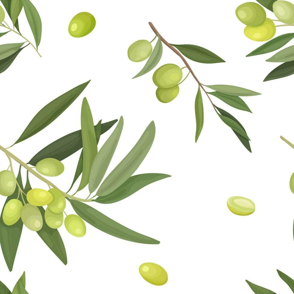 Seamless pattern of olive branches and fruits in a cartoon style on white. Packaging design, wrappers for olive business and olive oil, fabric vector