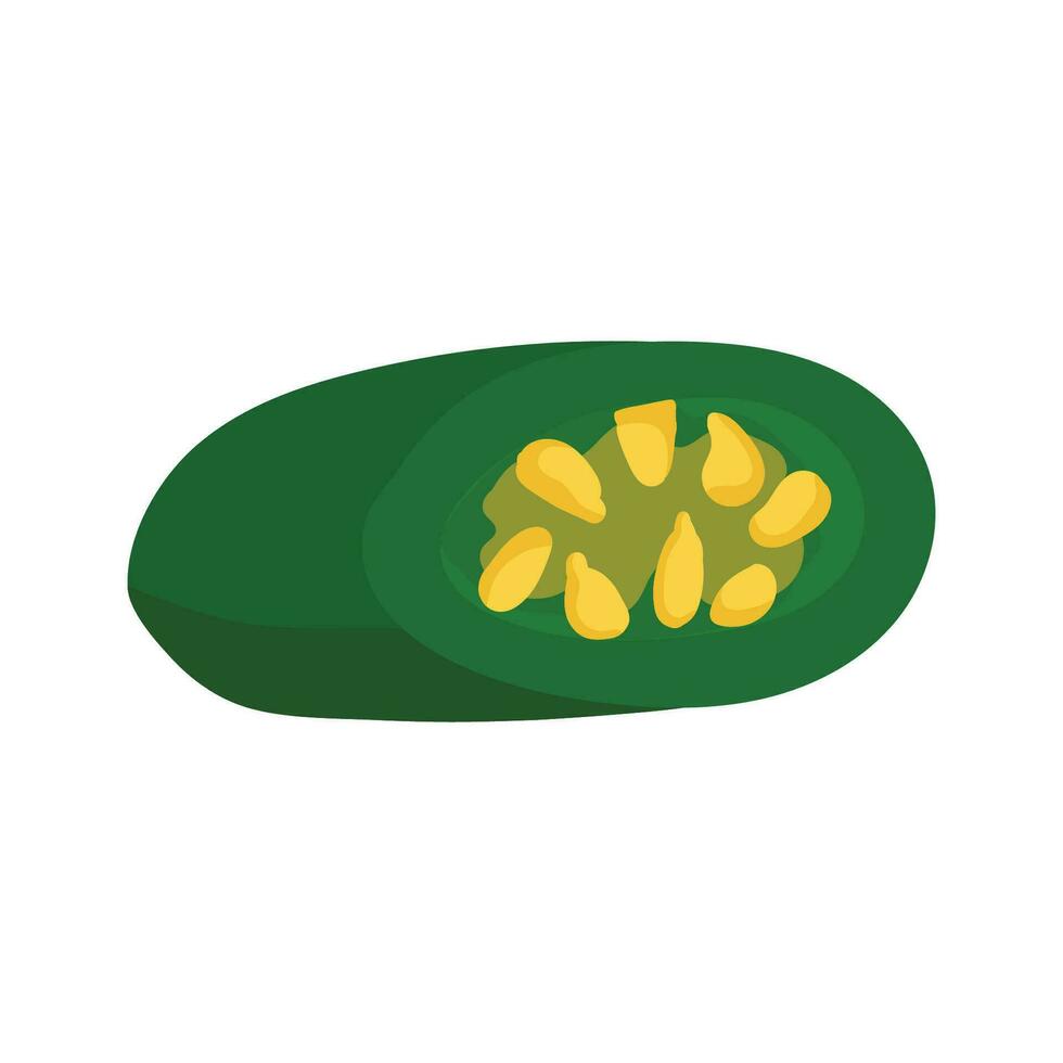 Spicy green chili pepper in a cut. Seasoning in Asian and Mexican cuisine. Spicy food. vector