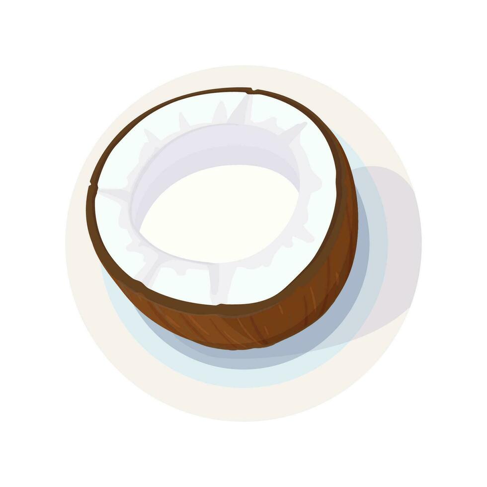 medio de un Coco en un plato y Coco palma productos dibujos animados pulpa, Leche y Coco caparazón. vector