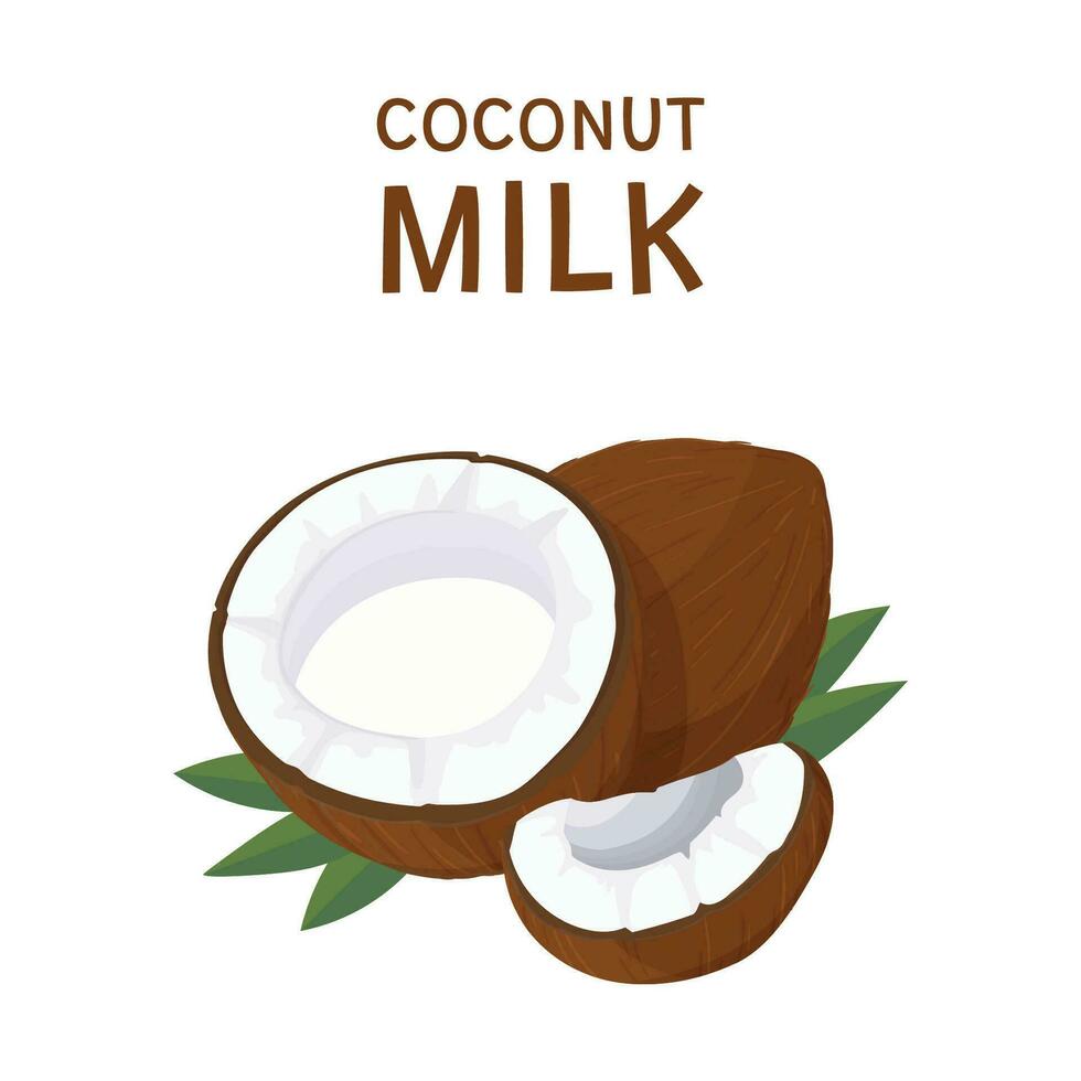 Coconut milk label, sticker or icon. coconut tree products vector