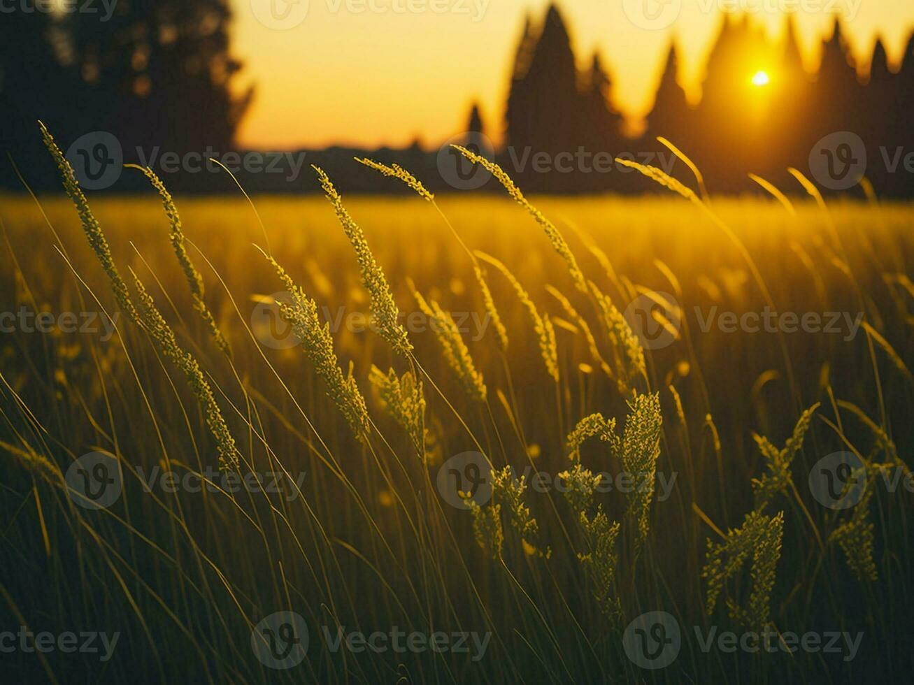 AI generated Abstract soft focus sunset field landscape of yellow flowers and grass meadow warm golden hour sunset sunrise time. Tranquil spring summer nature closeup and blurred forest background. photo
