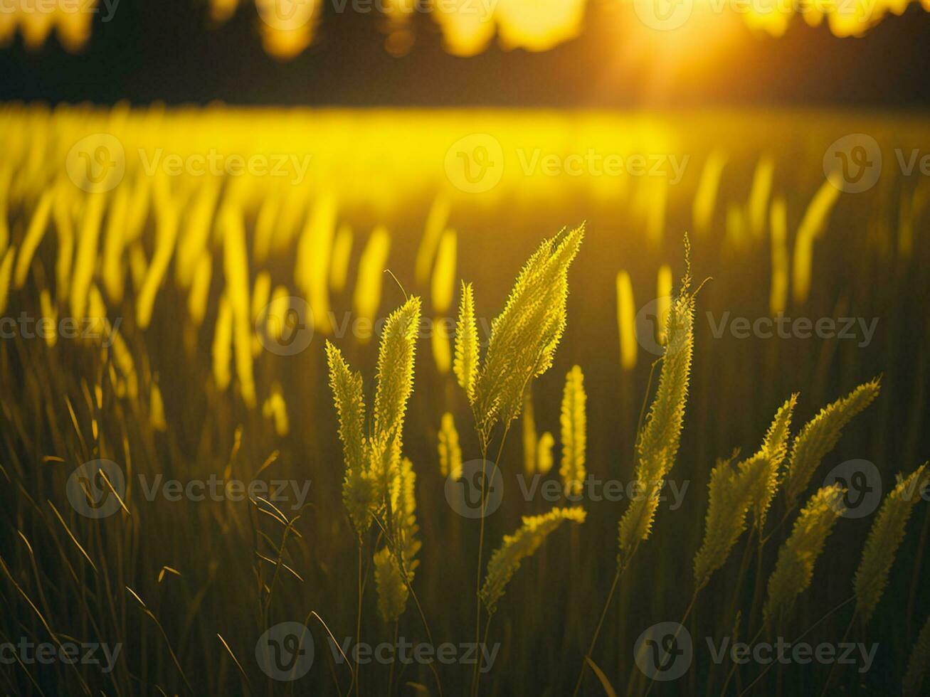 AI generated Abstract soft focus sunset field landscape of yellow flowers and grass meadow warm golden hour sunset sunrise time. Tranquil spring summer nature closeup and blurred forest background. photo