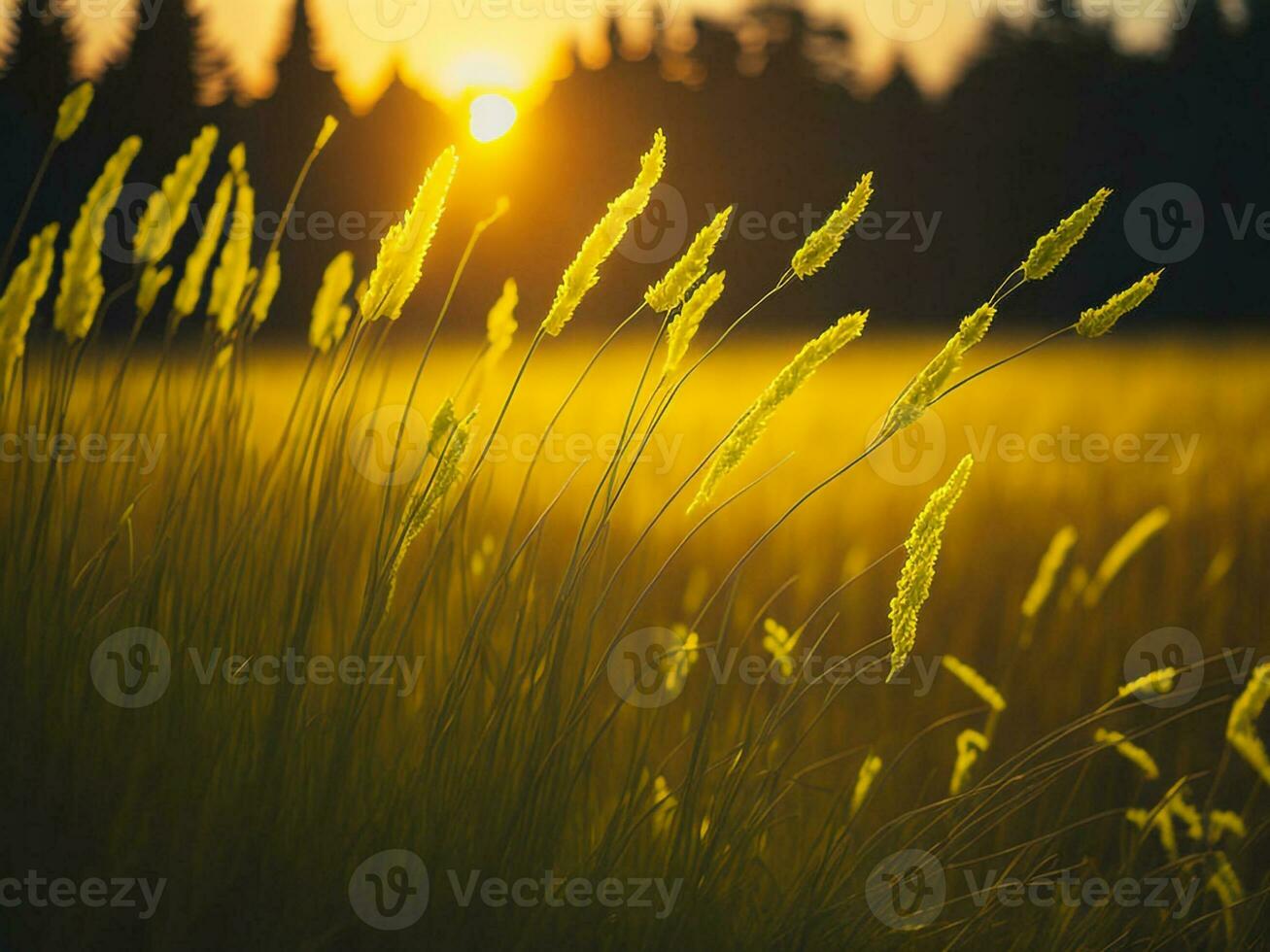 AI generated Abstract soft focus sunset field landscape of yellow flowers and grass meadow warm golden hour sunset sunrise time. Tranquil spring summer nature closeup and blurred forest background. photo