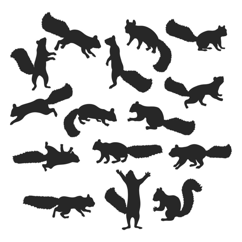 Squirrel silhouette illustration, Jumping squirrel vector