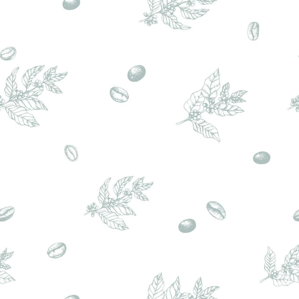 Coffee seamless pattern with twigs and berries. Gently blue branches of coffee on a white background. Wrapping paper vector