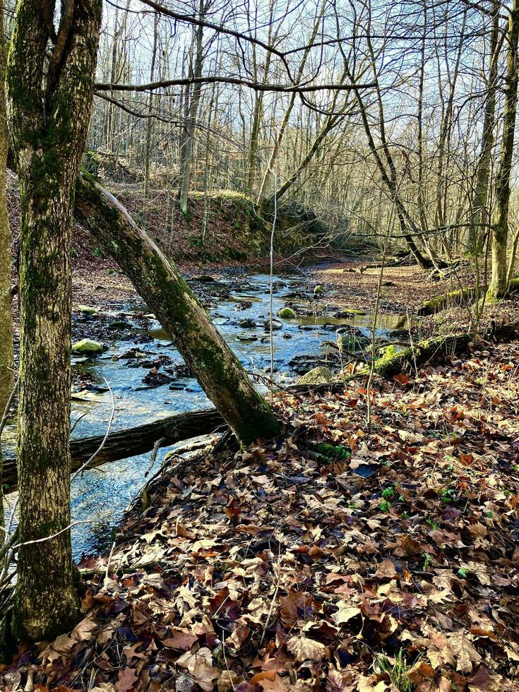 Cold fall day hiking photo