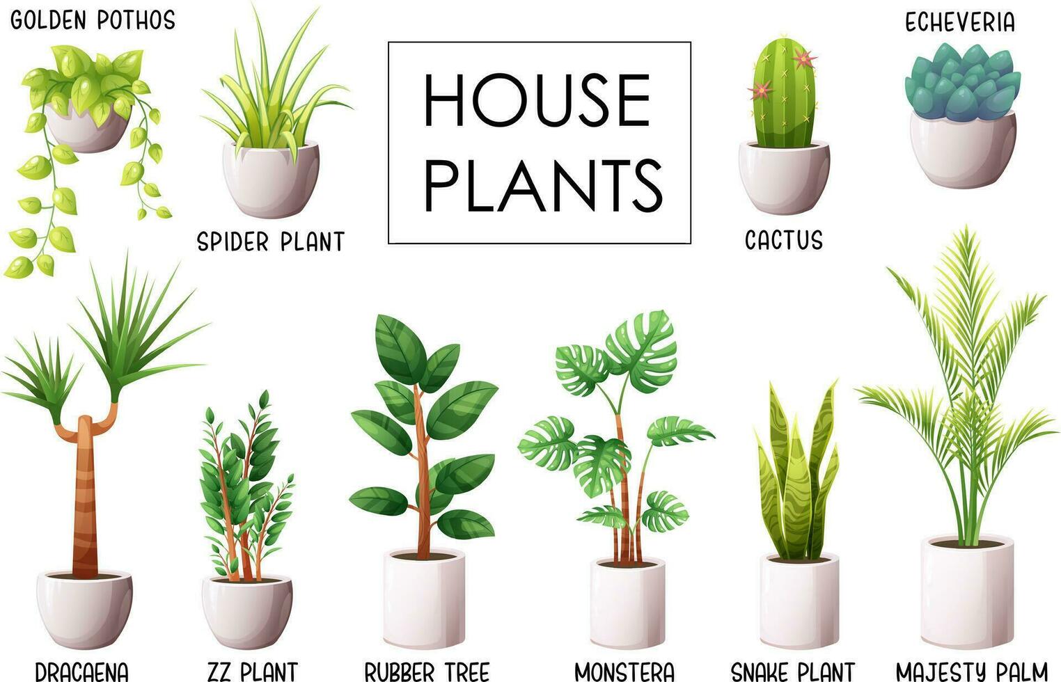 Set of popular indoor plants with names. Snake plant, zz plant, spider plant, majesty palm, dracaena, golden pothos, monstera, ficus elastica, echeveria, cactus vector