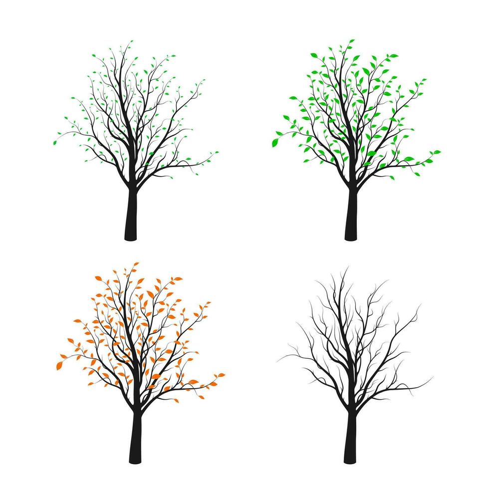 Four tree silhouette illustrated four season of nature. Vector illustration