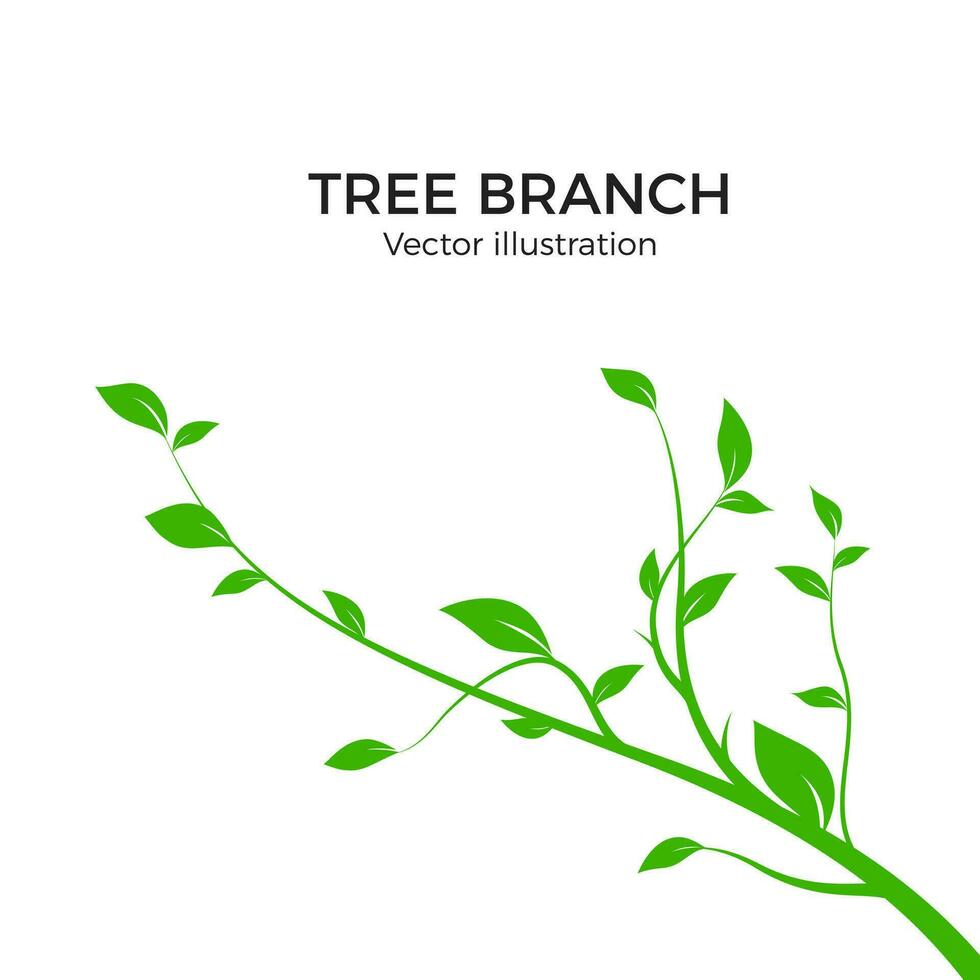 Branch silhouette isolated on white background. Green tree branch with a lot of leaves. Vector illustration