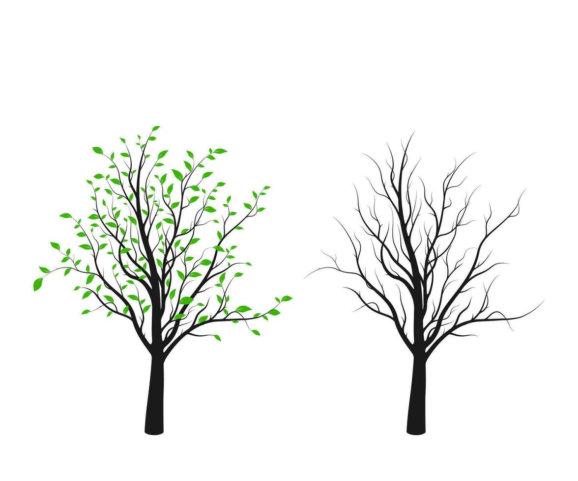 árbol silueta con verde hojas y sin aislado en blanco antecedentes. vector ilustración