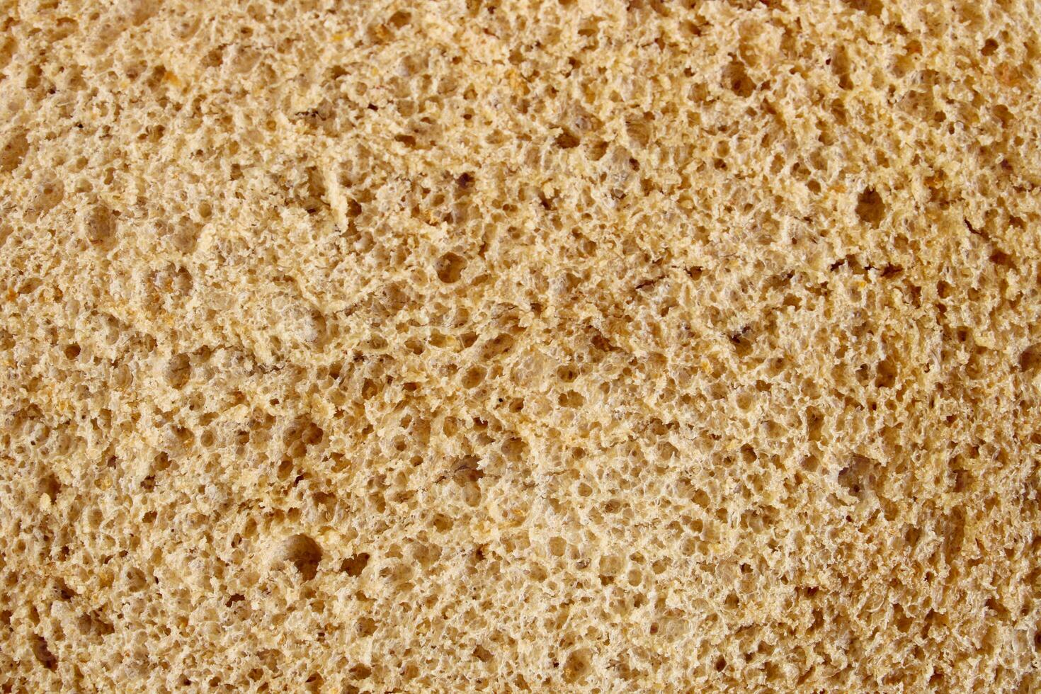 Wheat Bread Slice Texture photo