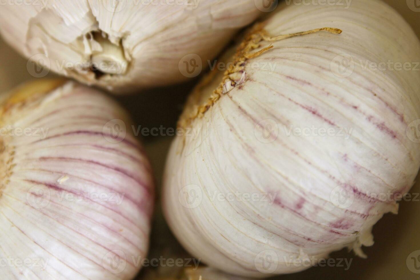 Fresh Garlic Bulb Pile photo