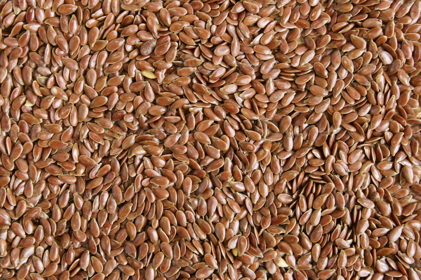 Flaxseeds Pile Background photo