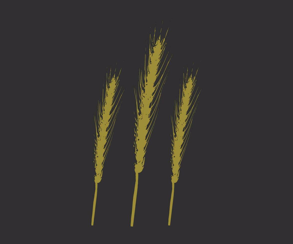 Wheat spike vector artwork design agriculture concepts