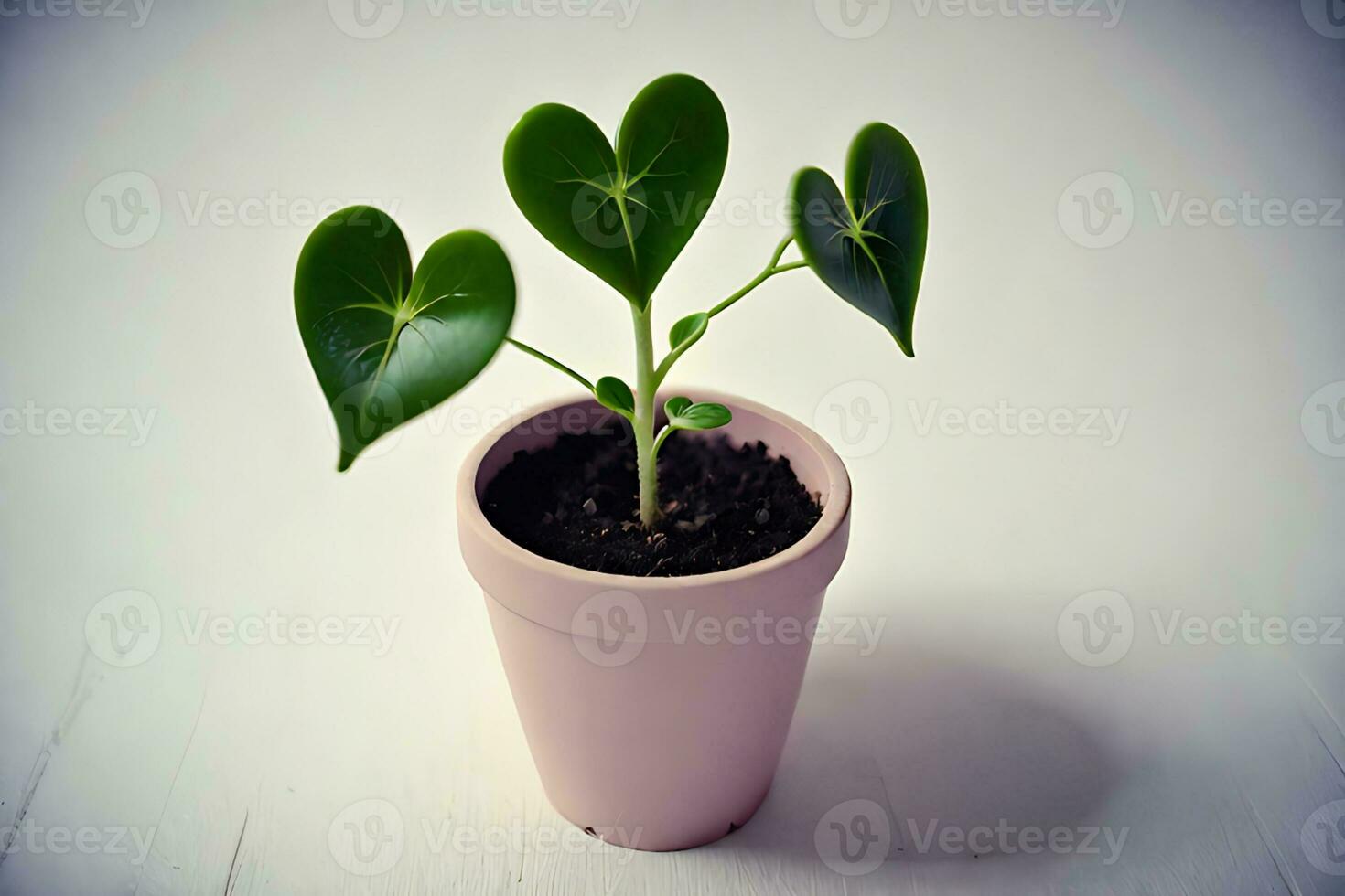 ai generado Tres corazón hojas planta en un rosado maceta foto