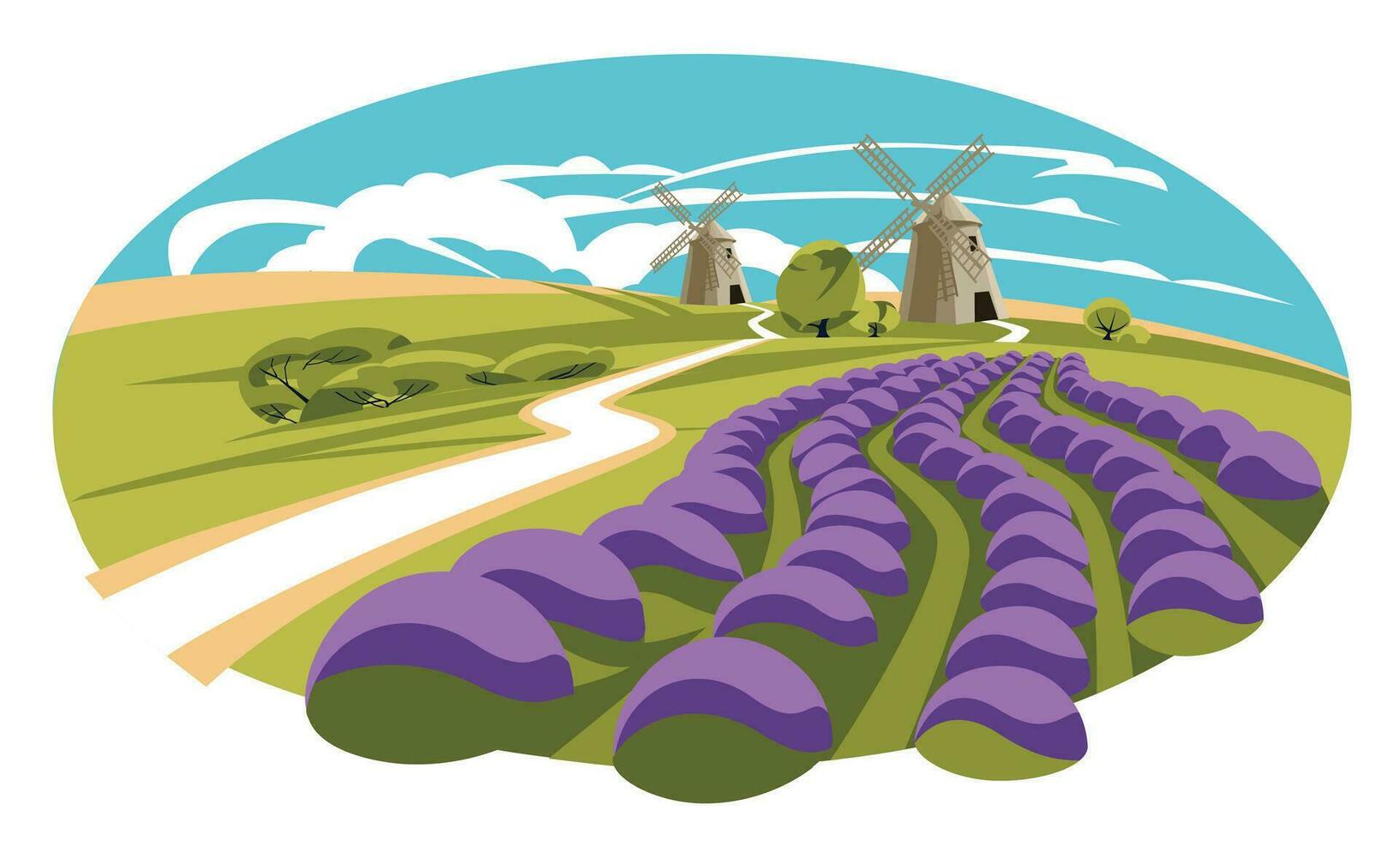 Lavender field with traditional old windmills. France. Traditional landscape of Provence. Summer flowering season. Vector flat illustration