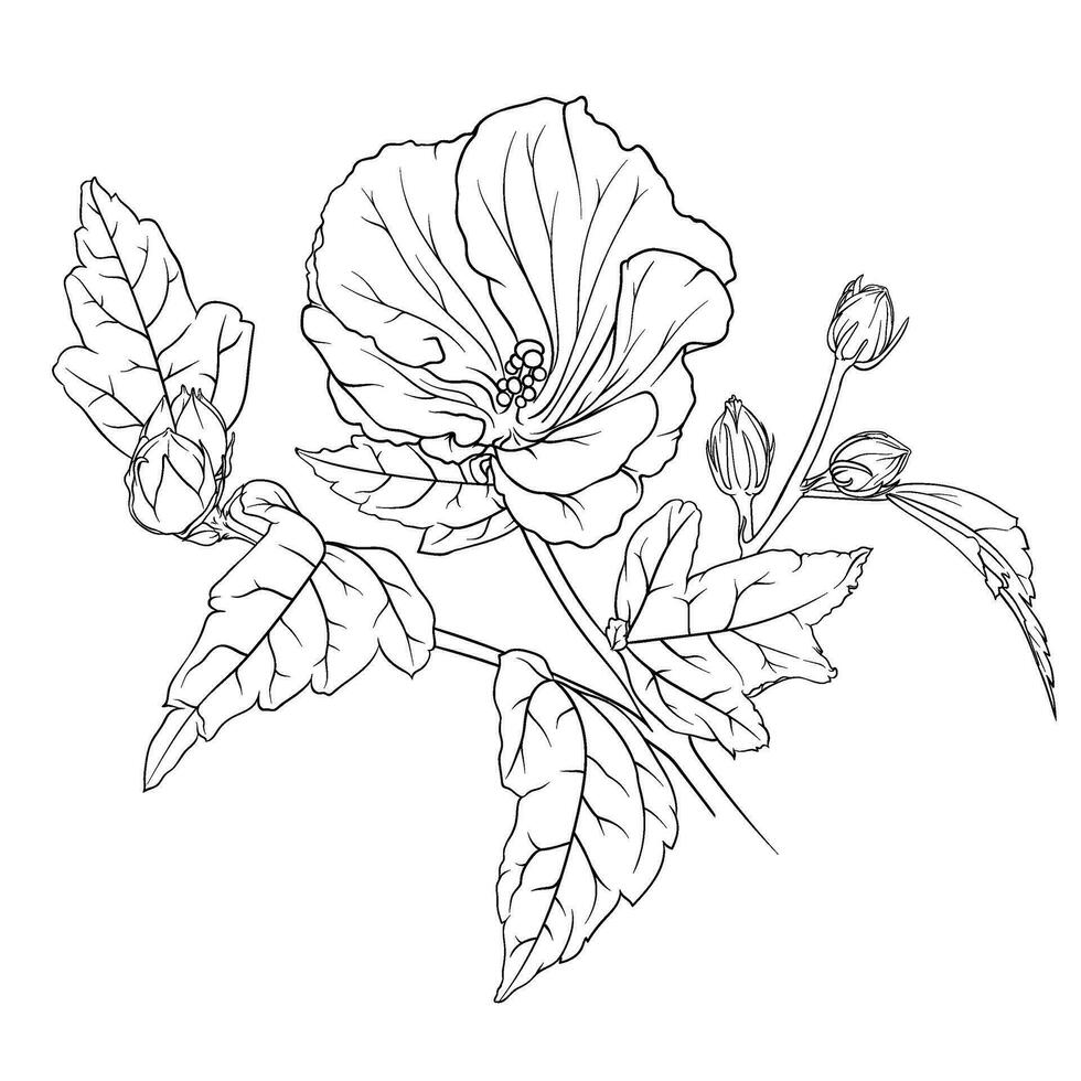 Vector monochrome composition of hibiscus branches with leaves and flowers. botanical hand drawn illustration of flowers, leaves and buds.