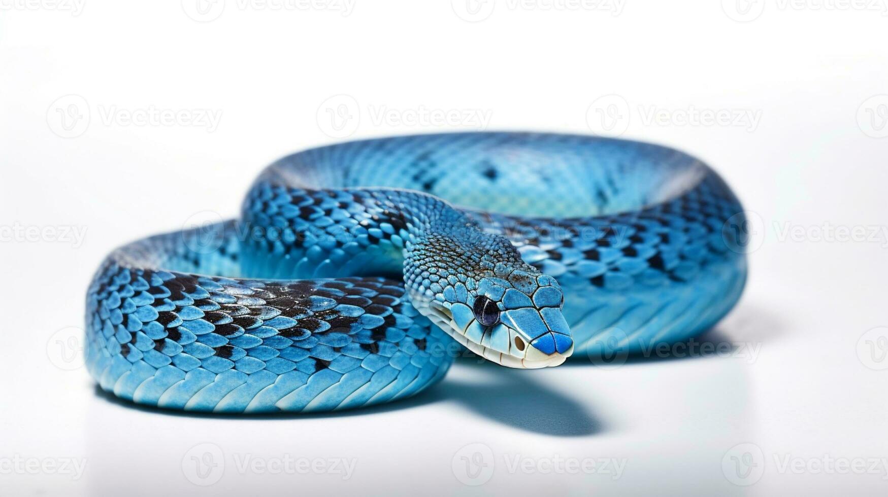 ai generado azul serpiente en un sólido blanco antecedentes foto