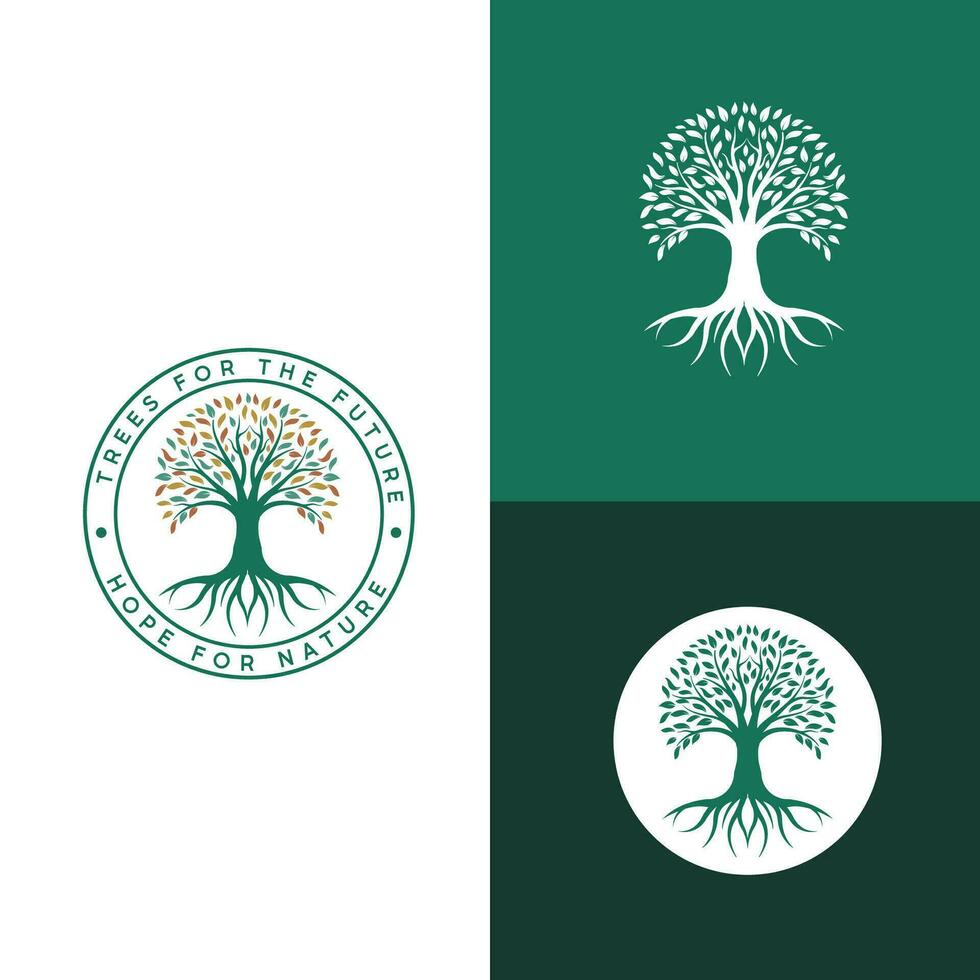 diseño de logotipo de árbol vibrante, vector de árbol. inspiración para el diseño del logotipo del árbol de la vida