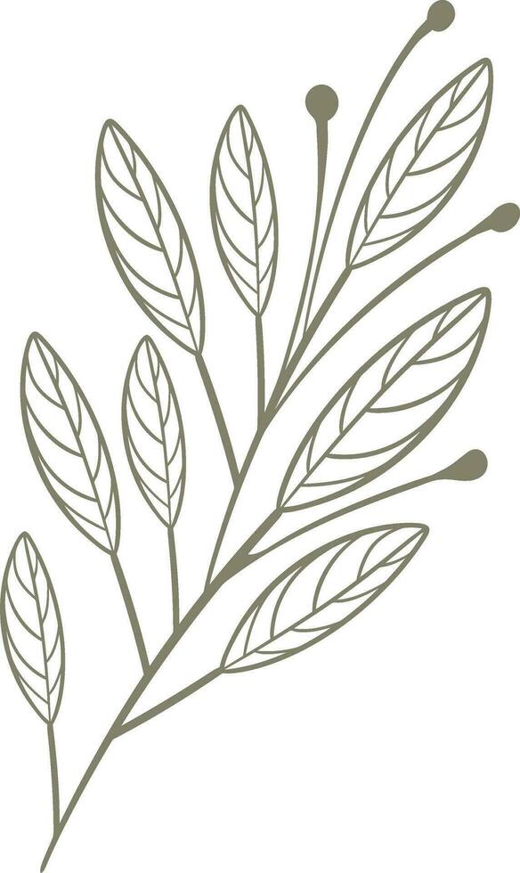 Plant Element Outline Vector Illustration