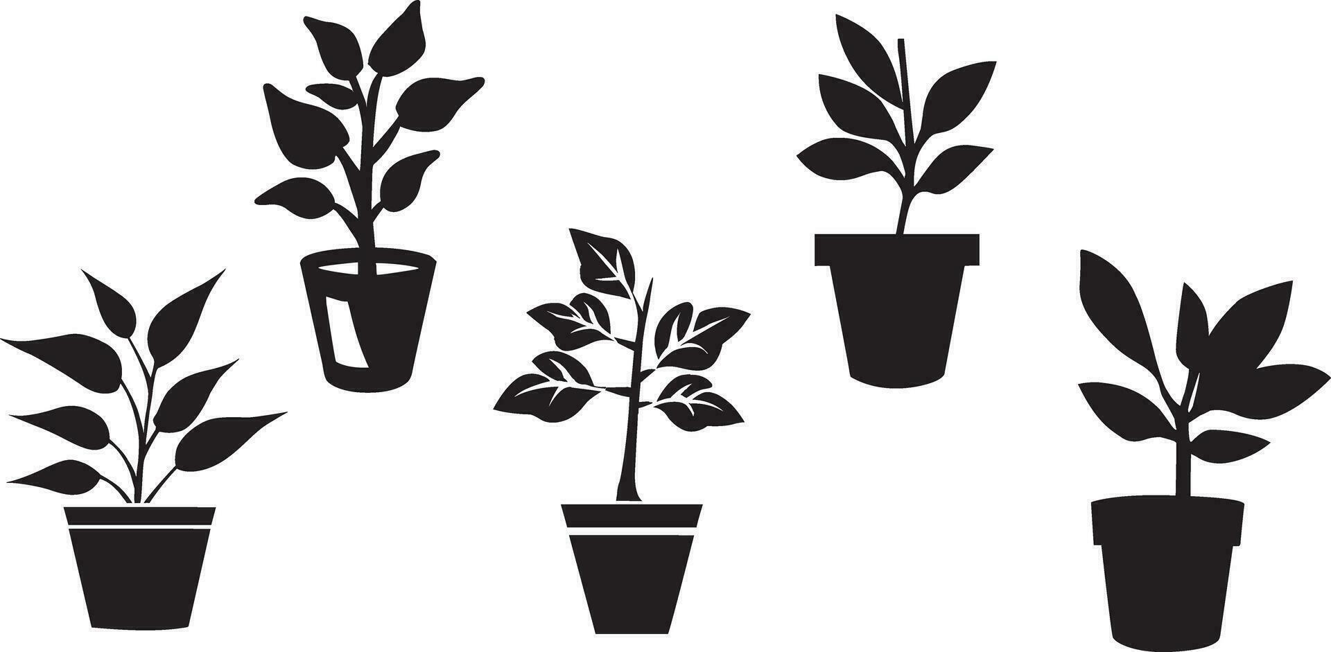 Black and white potted plant icons set. Set of potted plant silhouettes. Plants in pots. Potted plant vectors