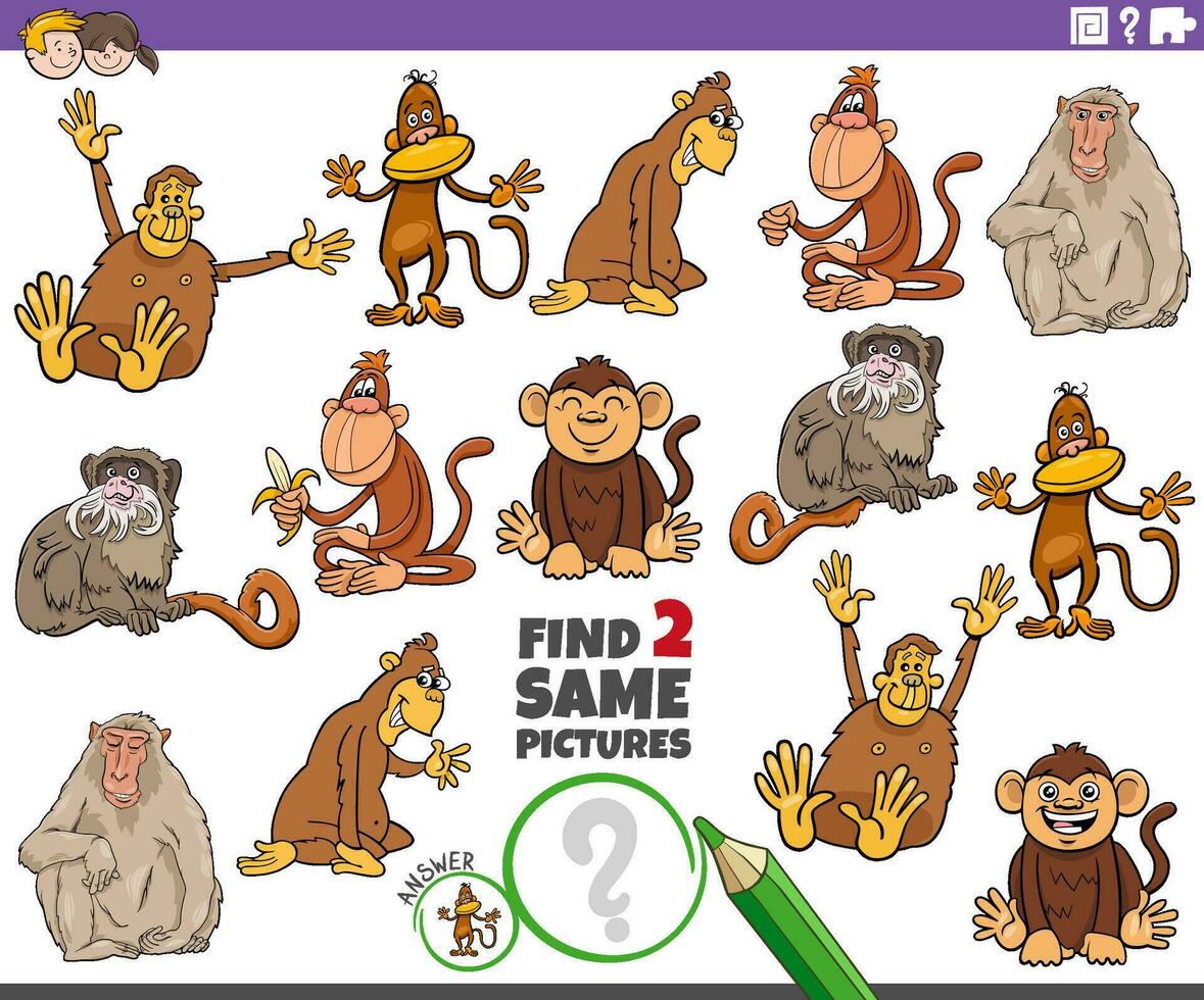 find two same cartoon monkeys animals educational activity vector