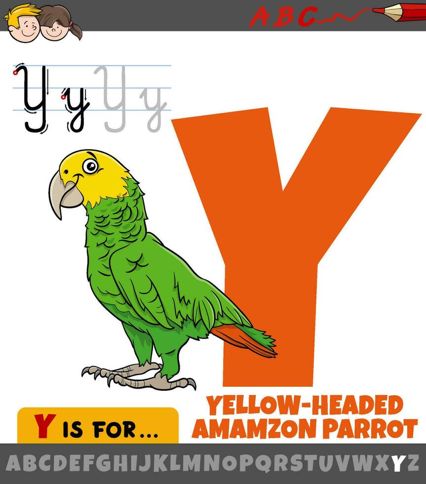 letter Y from alphabet with cartoon yellow headed Amazon parrot vector