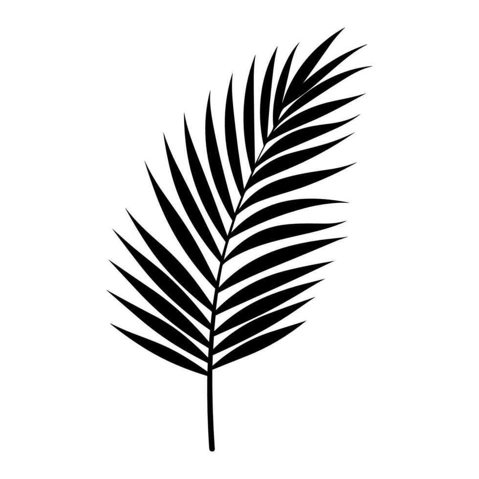 A Palm Tree Leaf Silhouette vector free