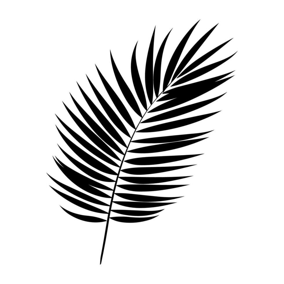 A Palm Tree Leaf Silhouette vector free