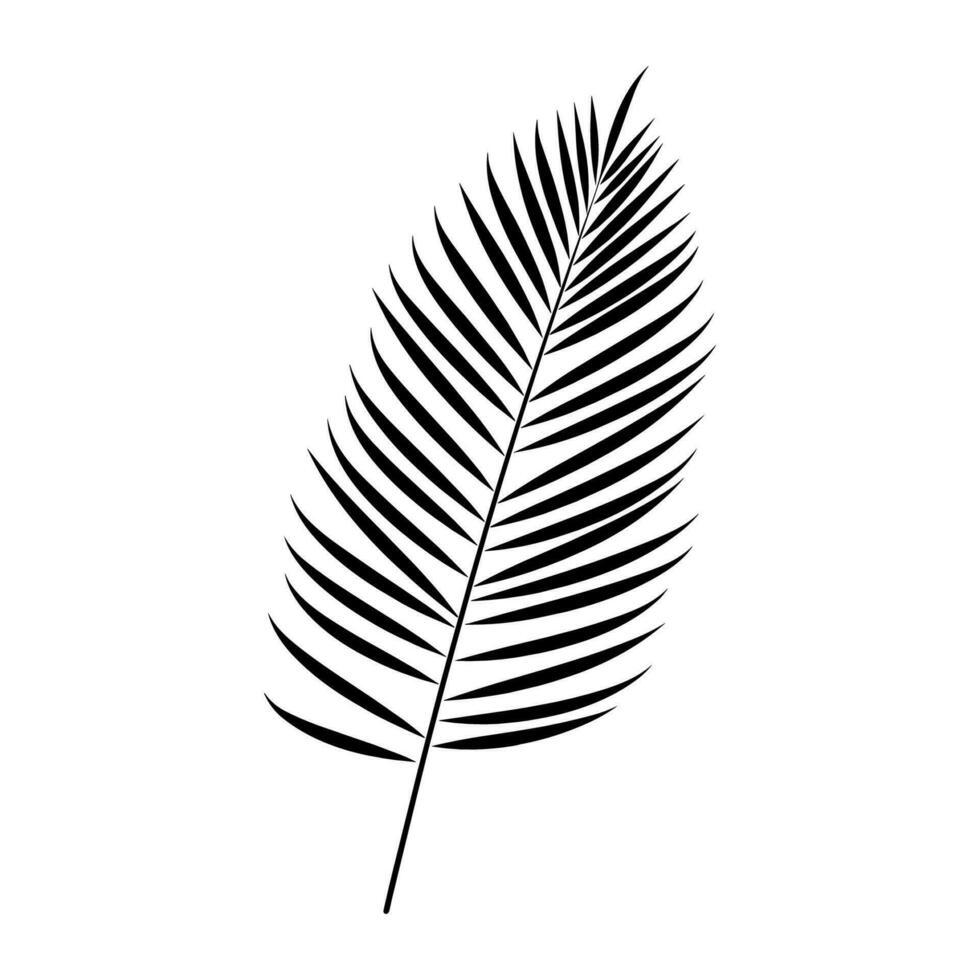 A Palm Tree Leaf Silhouette vector free