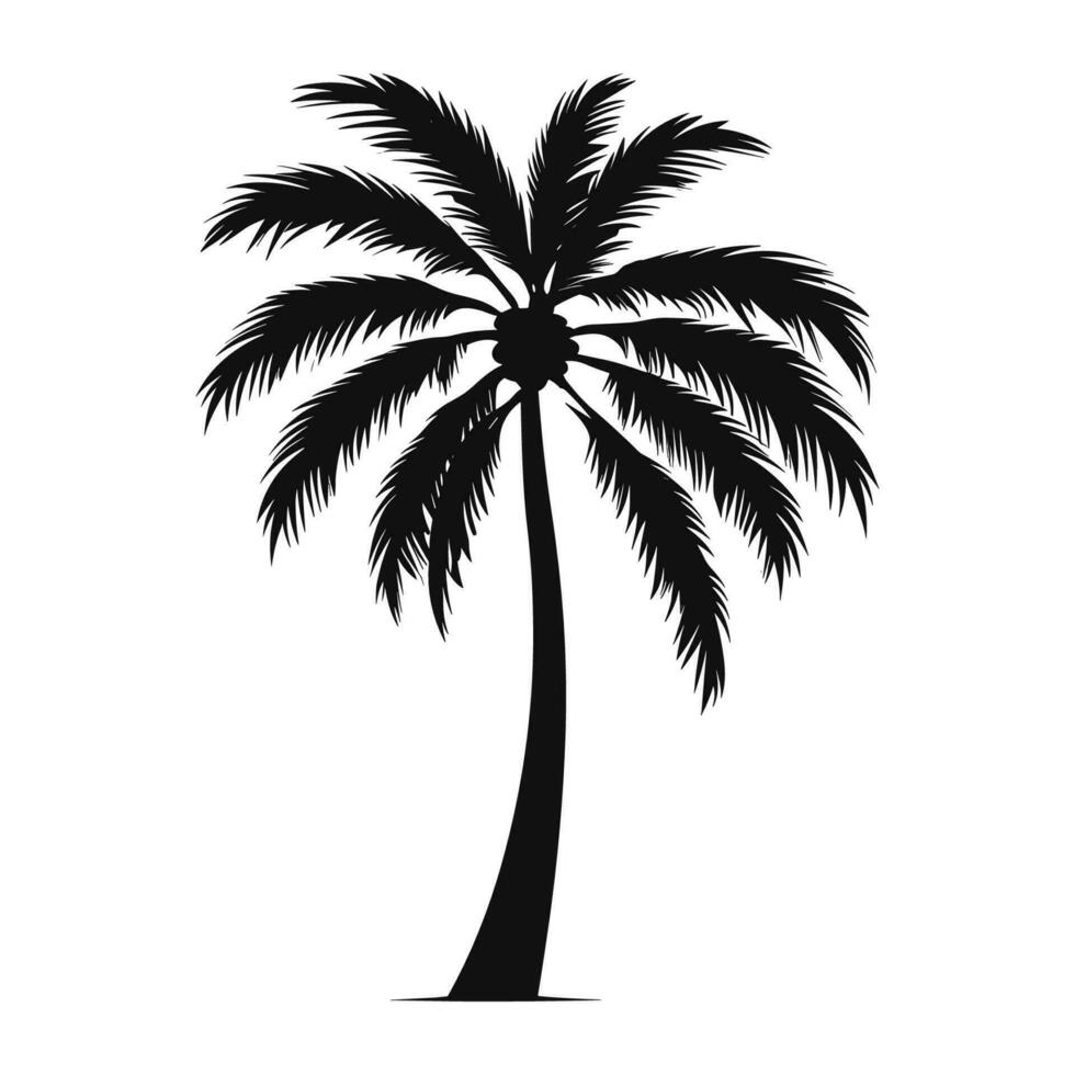 A Tropical Palm tree vector silhouette isolated on a white background free