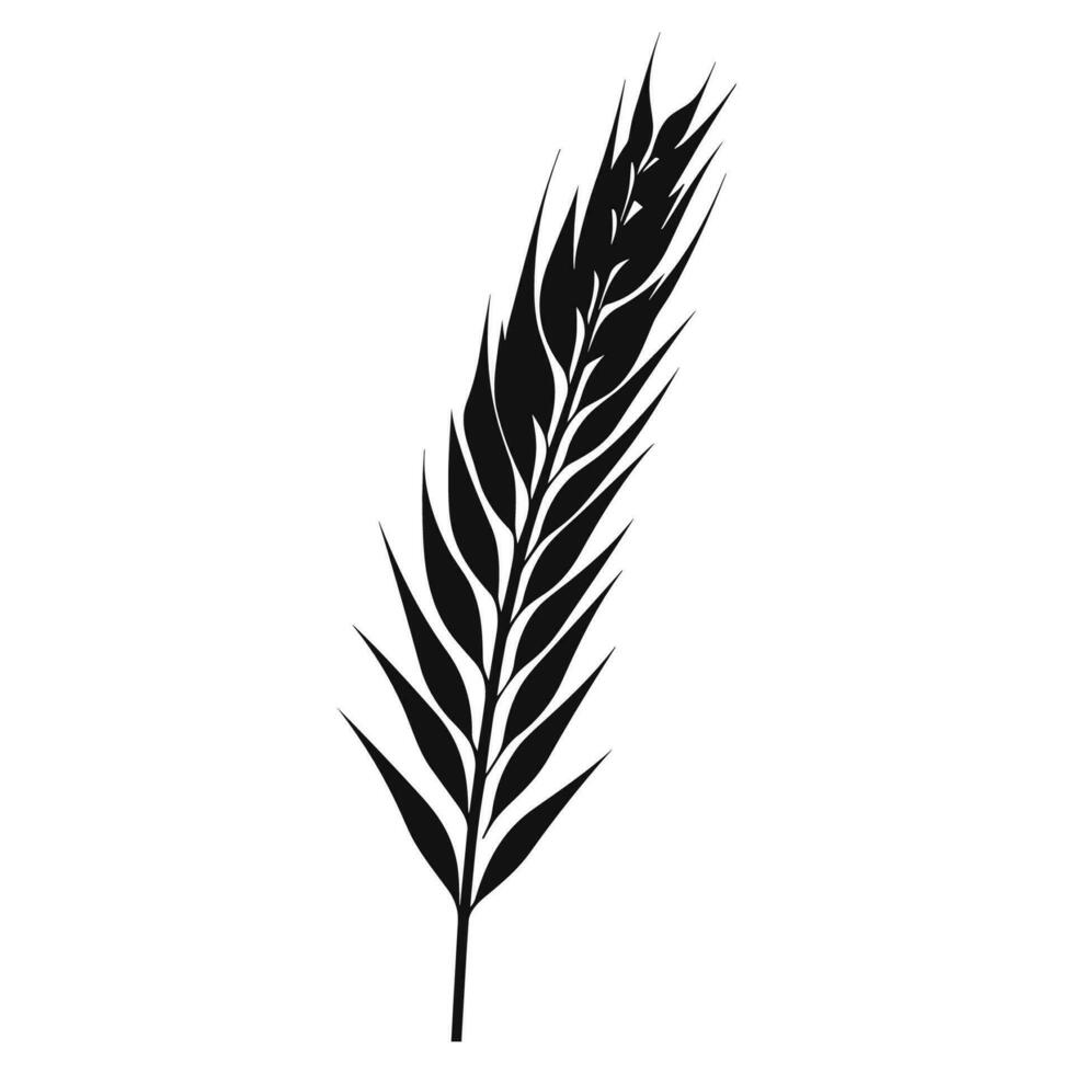 Wheat ears Vector isolated on a wHite background, A Wheat grain silhouette free