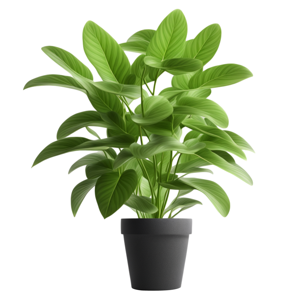 AI generated Green Potted Plant Isolated on Transparent Background png