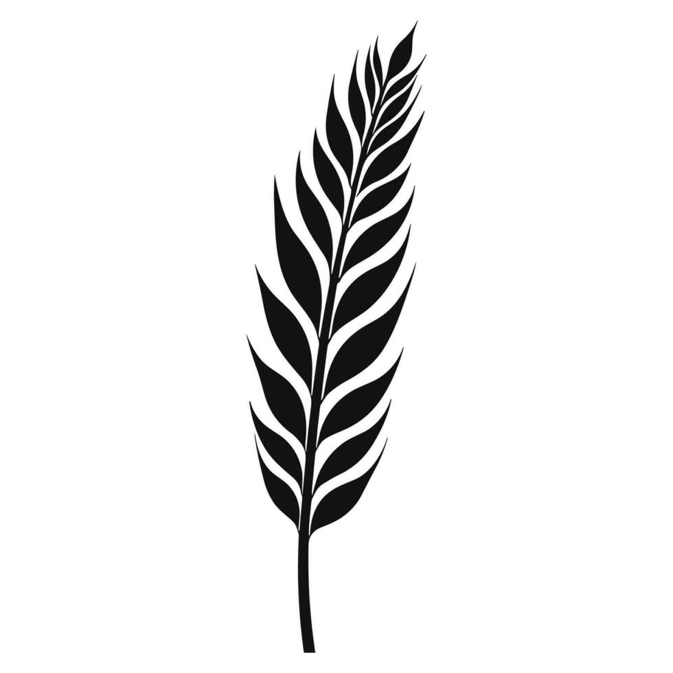 Wheat ears Vector isolated on a wHite background, A Wheat grain silhouette