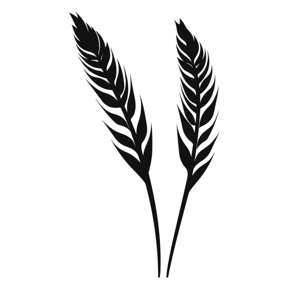 Wheat ears Vector isolated on a wHite background, A Wheat grain silhouette